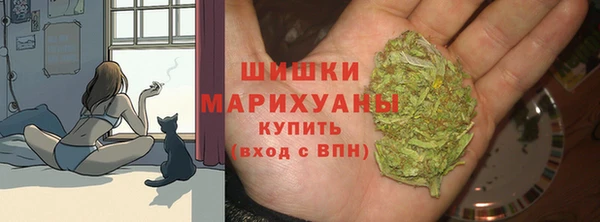PSILOCYBIN Абинск