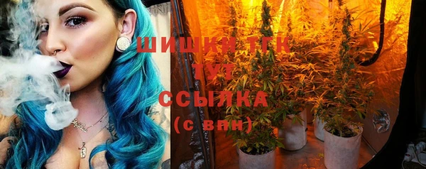 PSILOCYBIN Абинск
