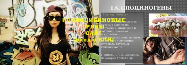 PSILOCYBIN Абинск