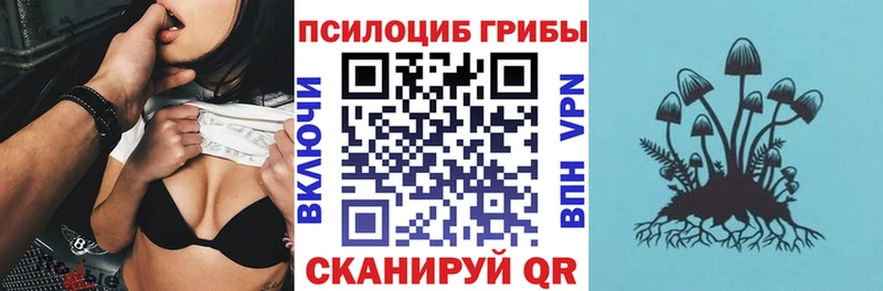 Галлюциногенные грибы Cubensis  как найти закладки  shop формула  Кораблино 